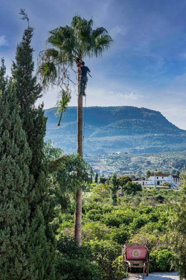Finca El Limonar Алора Екстер'єр фото