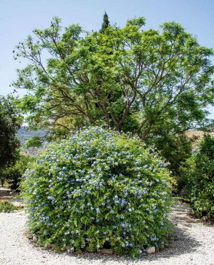 Finca El Limonar Алора Екстер'єр фото